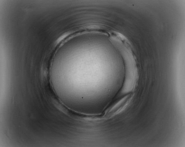 X0000085321065200703302039