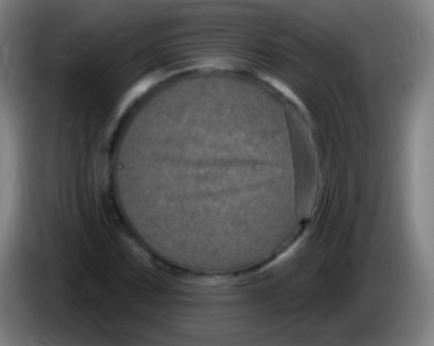 X0000085321067200703302039