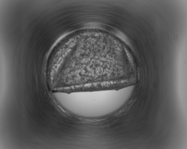 X0000085321068200703302039