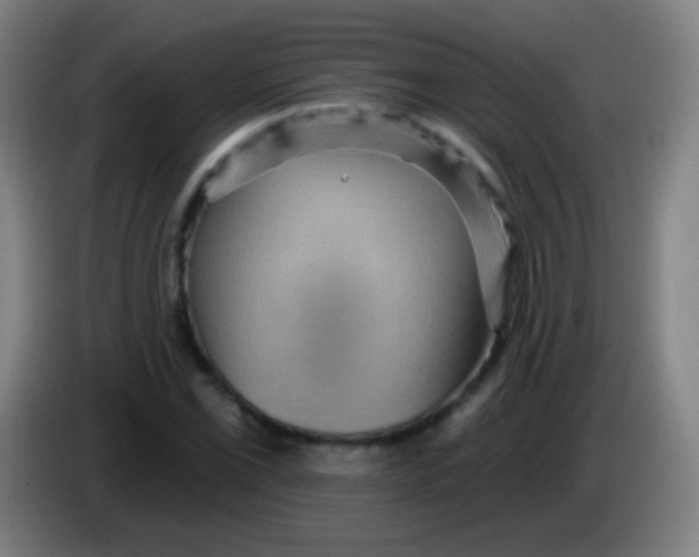 X0000085321069200703302039