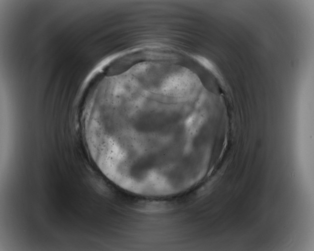 X0000085321070200703302039