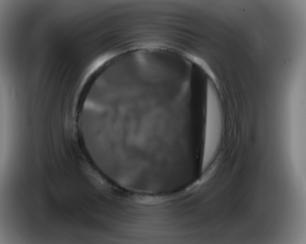 X0000085321071200703302039