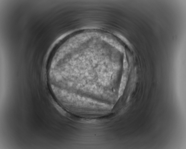 X0000085321072200703302039