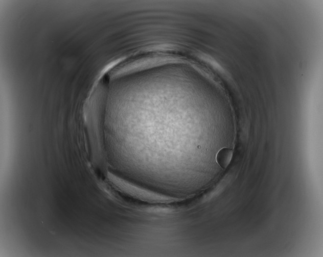 X0000085321073200703302039