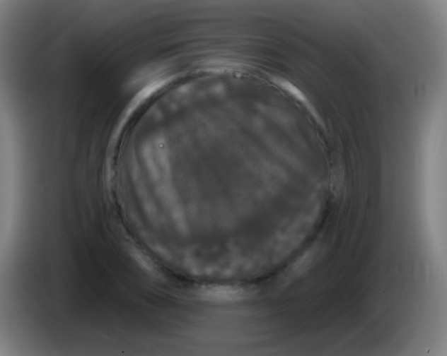 X0000085321074200703302039