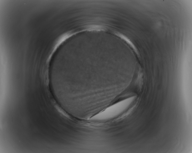 X0000085321075200703302039