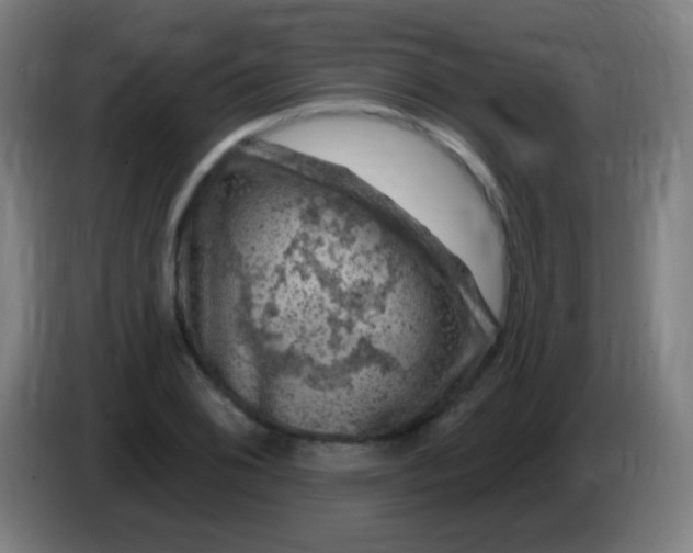 X0000085321076200703302039