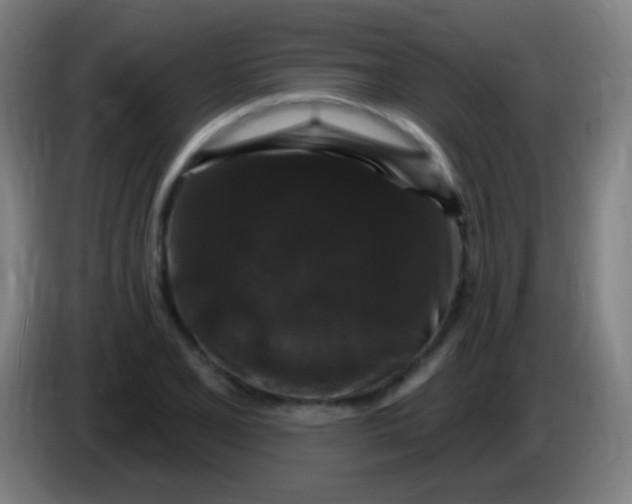 X0000085321077200703302039