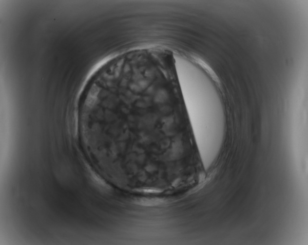 X0000085321079200703302039