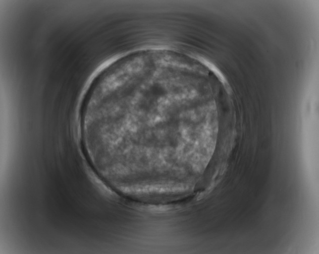 X0000085321080200703302039