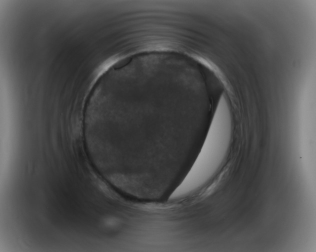 X0000085321081200703302039