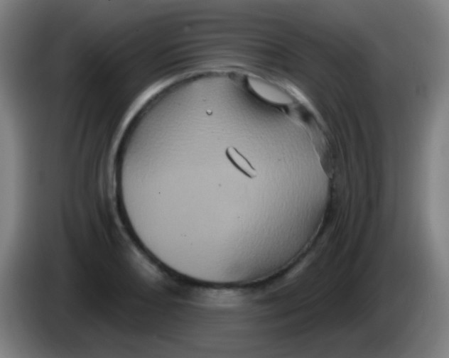 X0000085321082200703302039