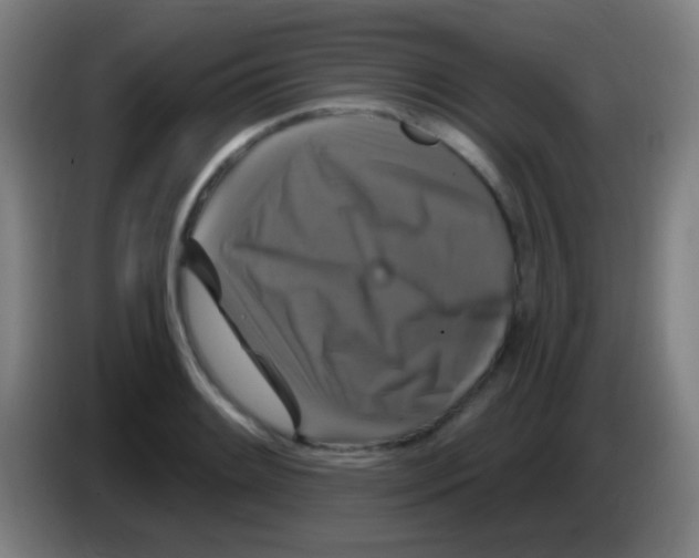 X0000085321084200703302039