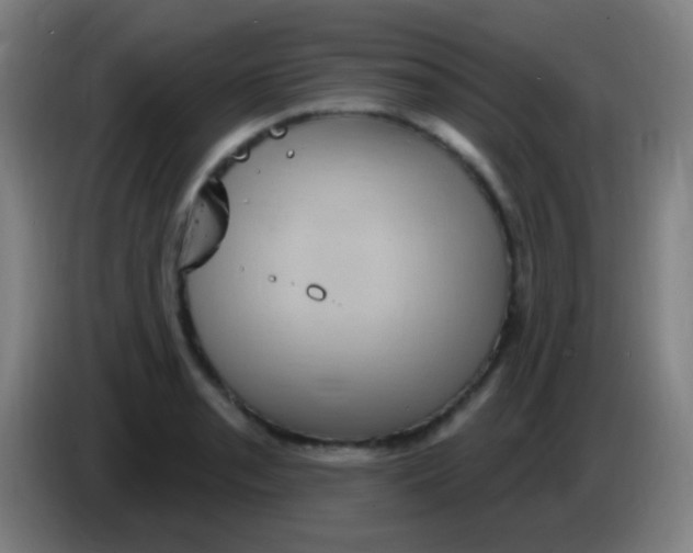 X0000085321085200703302039