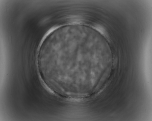 X0000085321086200703302039