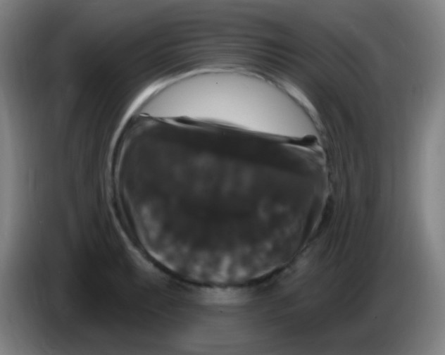 X0000085321087200703302039