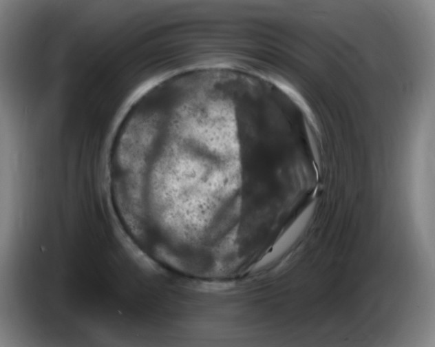 X0000085321088200703302039