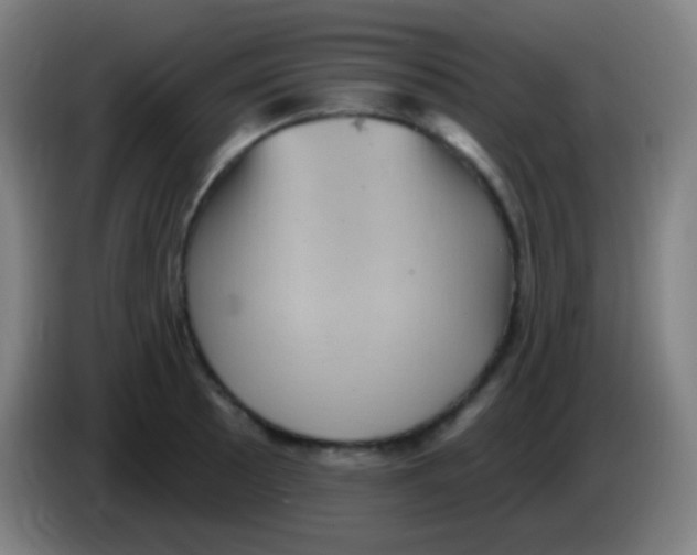 X0000085321089200703302039