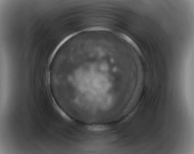 X0000085321092200703302039