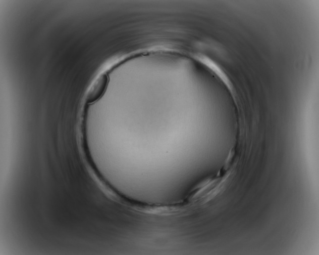 X0000085321093200703302039