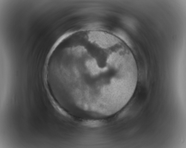 X0000085321094200703302039