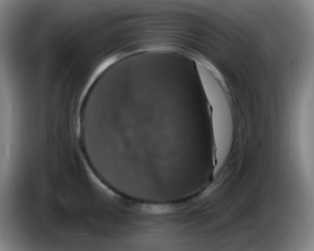 X0000085321095200703302039