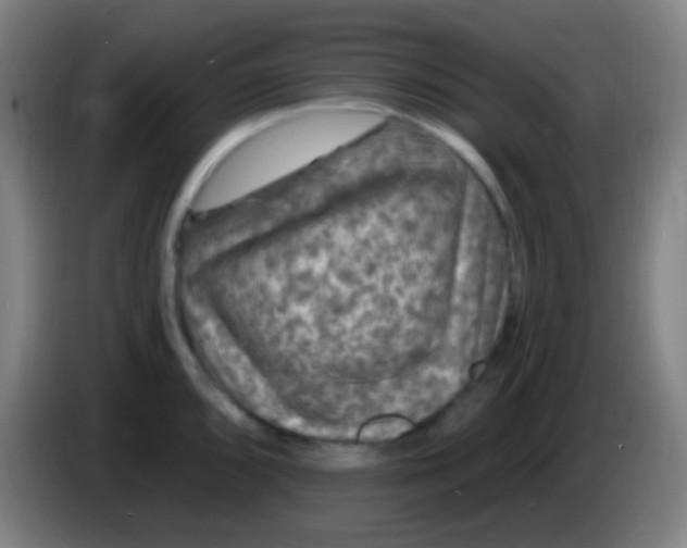 X0000085321096200703302039