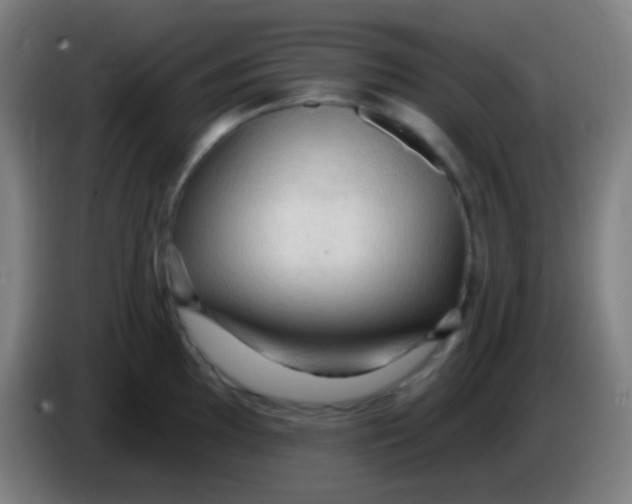 X0000085321097200703302039