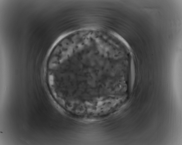 X0000085321099200703302039