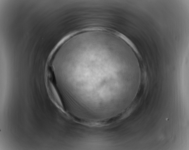 X0000085321101200703302039