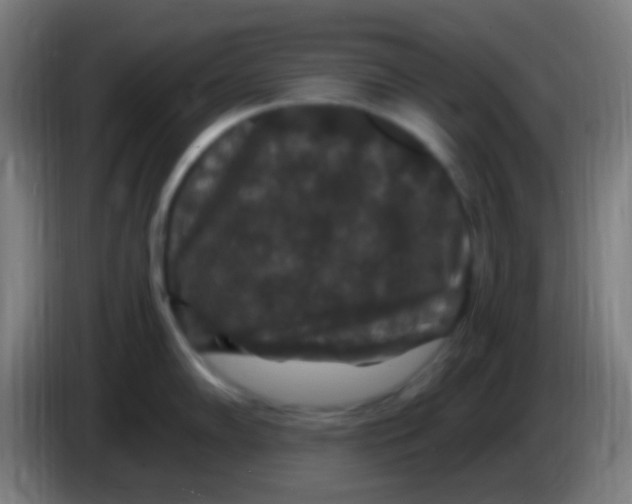 X0000085321102200703302039