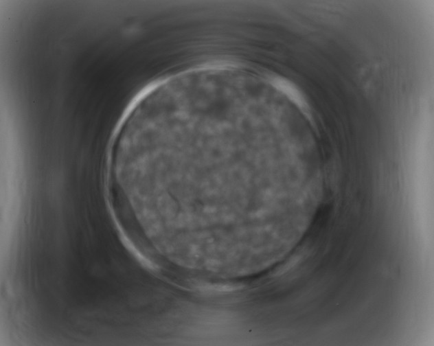 X0000085321103200703302039