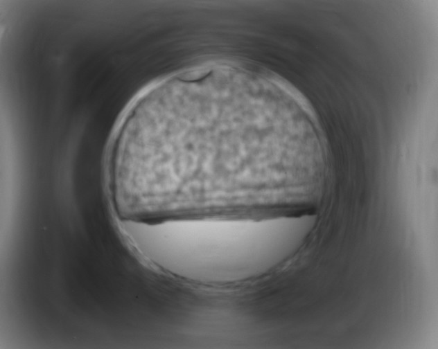 X0000085321104200703302039