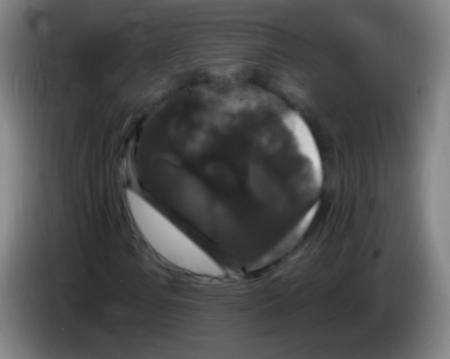 X0000085321106200703302038