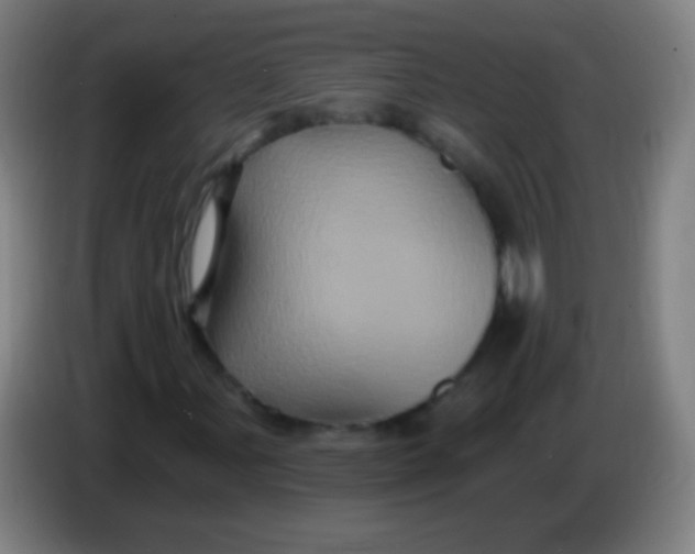 X0000085321107200703302038