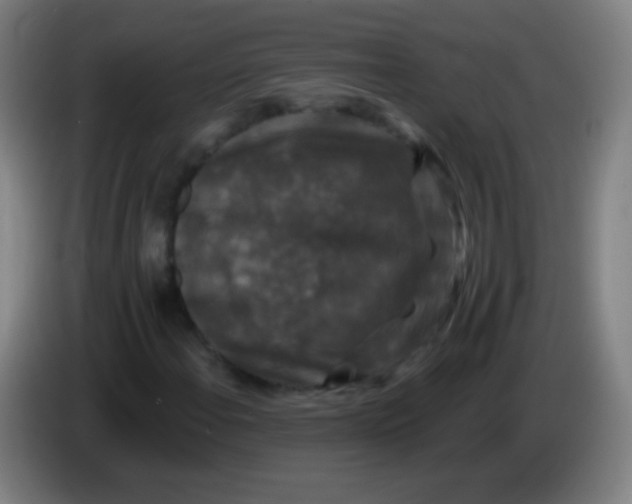 X0000085321108200703302038