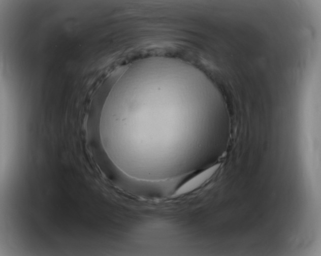 X0000085321109200703302038