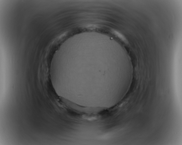 X0000085321111200703302038