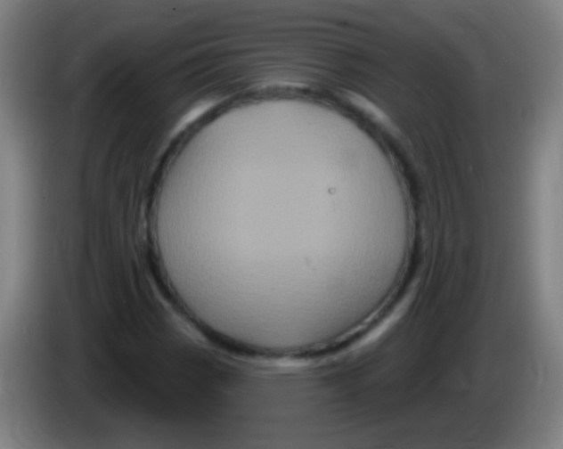 X0000085321113200703302038