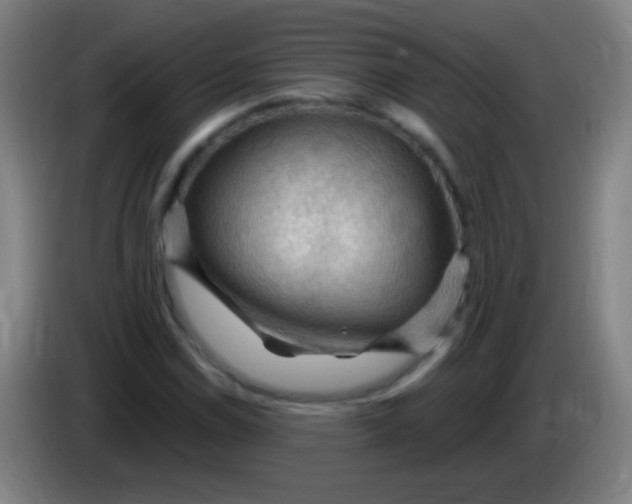 X0000085321114200703302038