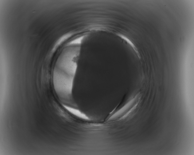 X0000085321115200703302038