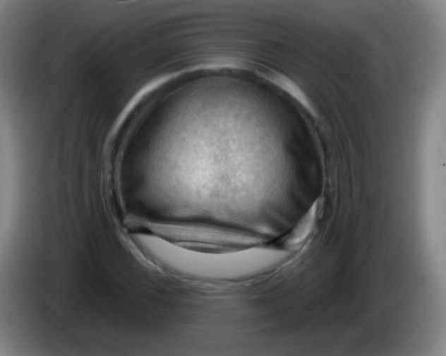 X0000085321116200703302038