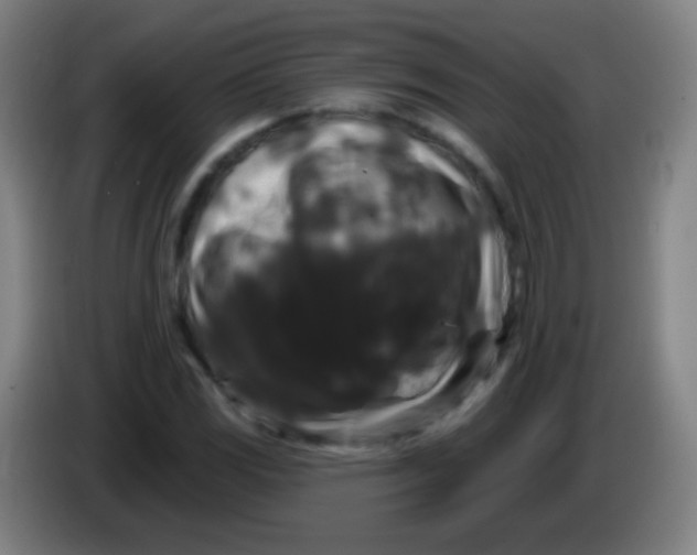 X0000085321117200703302038