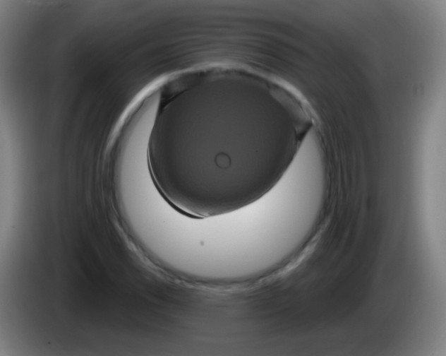 X0000085321118200703302038