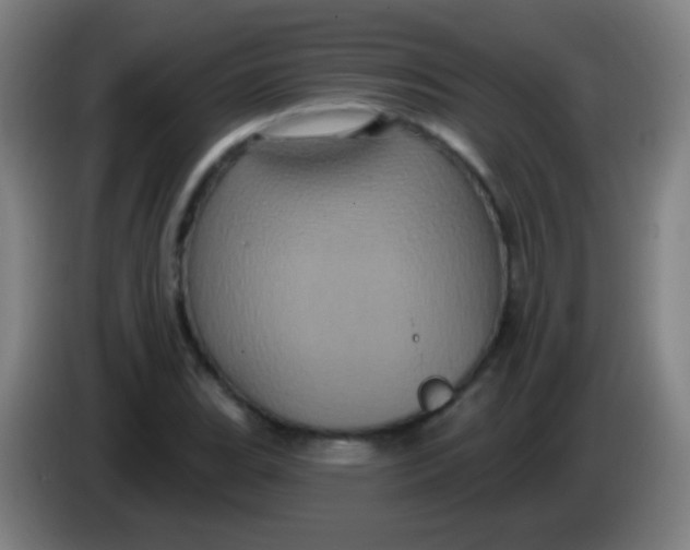 X0000085321119200703302038