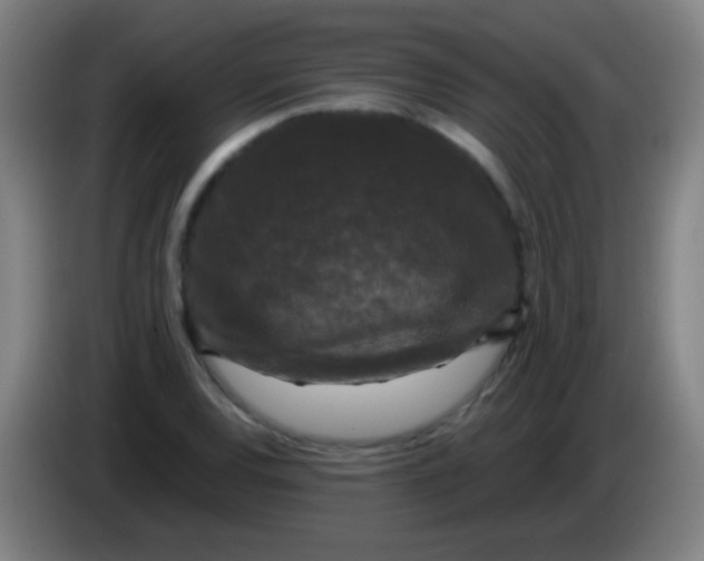 X0000085321120200703302038