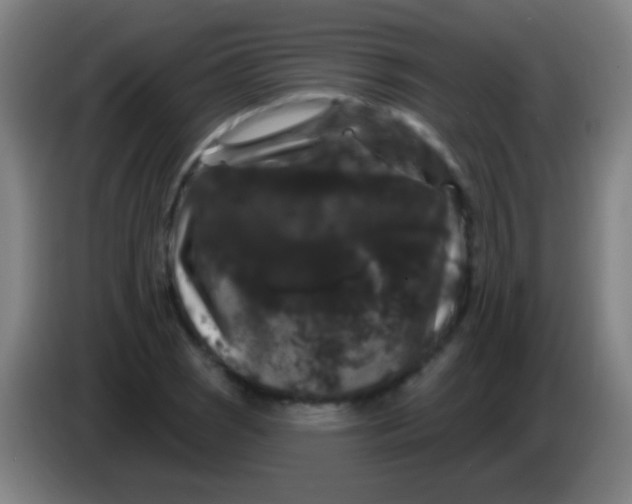 X0000085321121200703302038