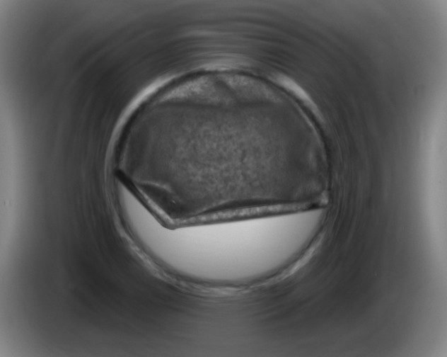 X0000085321122200703302038