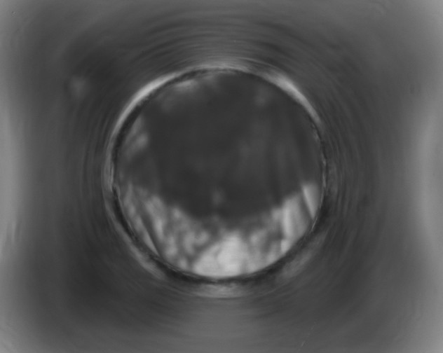 X0000085321125200703302038