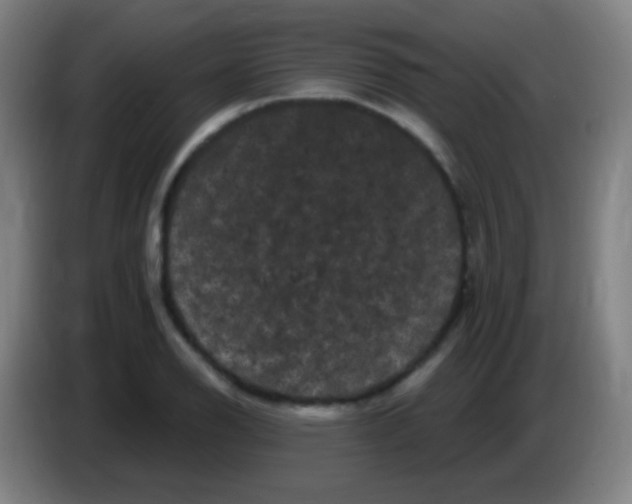 X0000085321126200703302038